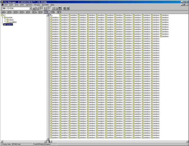 windows.jpg 800x620